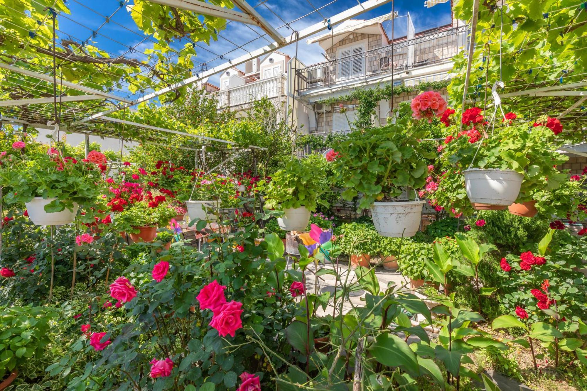 Apartmani Galic 2 มลินี ภายนอก รูปภาพ